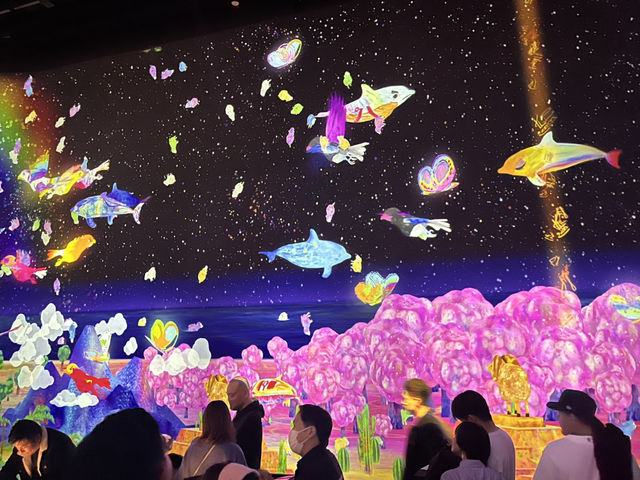 新エリアで遊ぶ！チームラボプラネッツ TOKYO DMM@豊洲💞