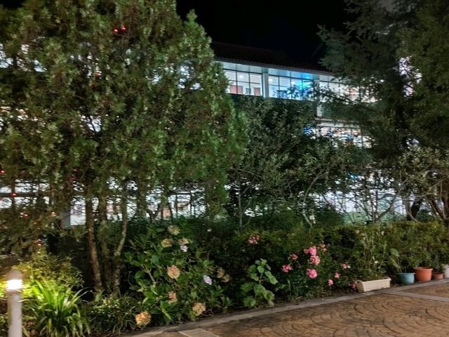 #武陵國民賓館-臺中市和平區