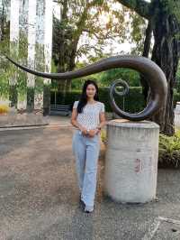 MAIIAM Contemporary Art Museum 🎨🖌️