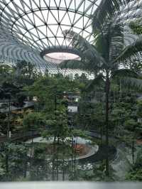 Jewel Changi Airport, SGP