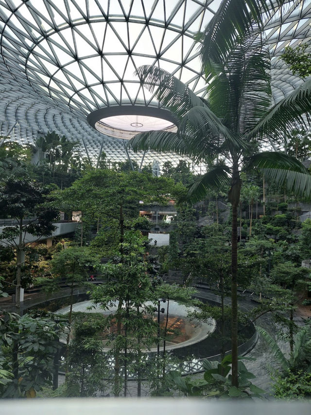 Jewel Changi Airport, SGP