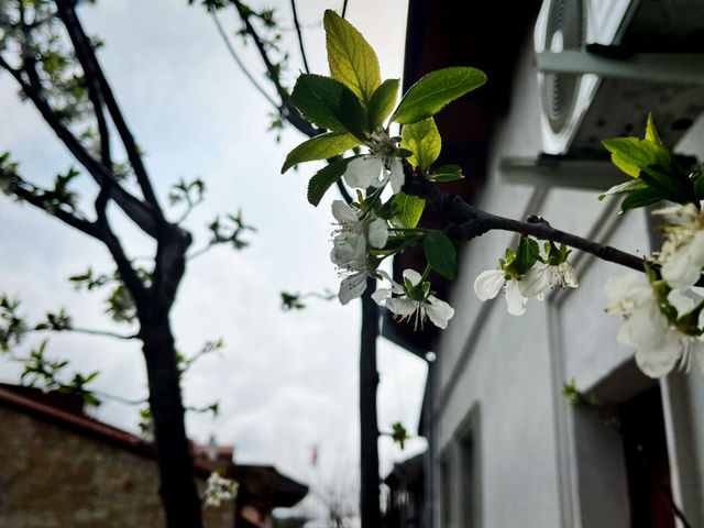 เที่ยวบ้านเกิด สตาร์ลิน @Gori 🇬🇪