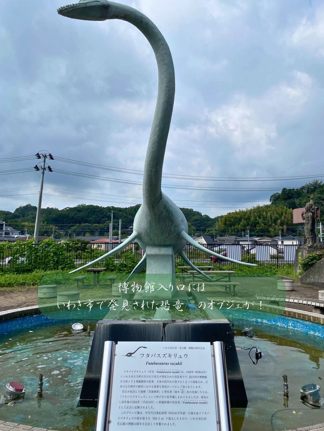 本物の化石に触れちゃう！？いわき市石炭・化石館ほるる