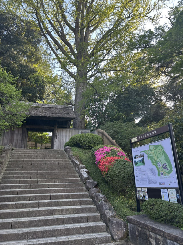 【松戸】旧徳川家の邸宅を見学しよう