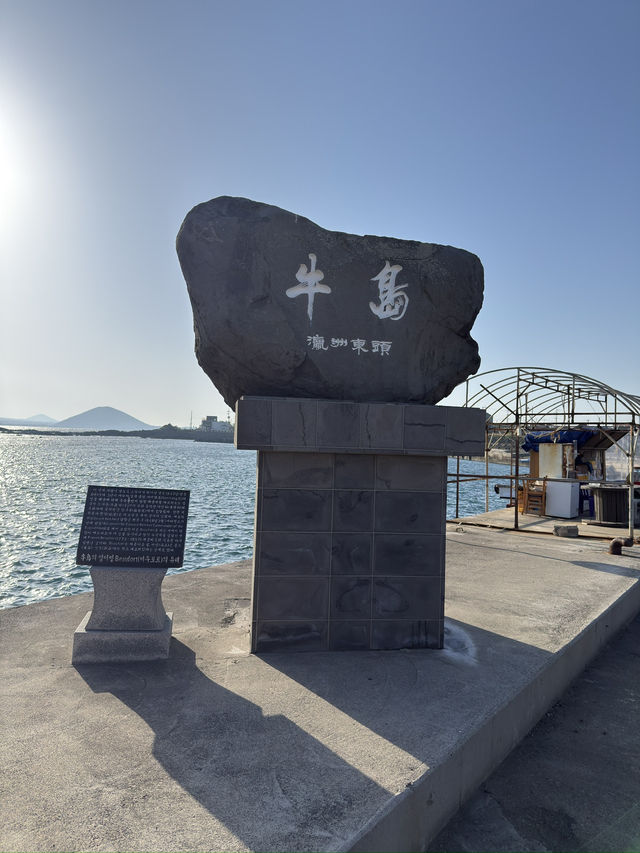 Discover Udo Island: A Hidden Gem off Jeju