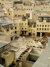 Stepping Into a Living Canvas: My First Visit to the Fes, Morocco Tannery 🇲🇦