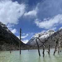 SiguniangShan, Xiaojin, Sichuan, China