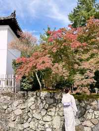 A Day in Arashiyama: Kimono Strolls, Temple Serenity & Tofu Delights🍃