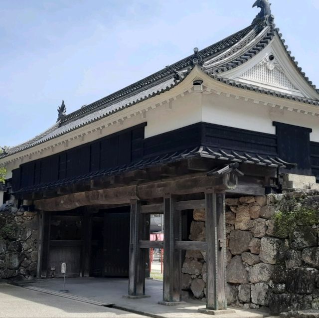 Kochi Castle: A Timeless Beauty