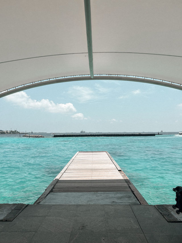 Fell in love with Maldives 🇲🇻