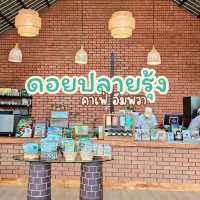 ดอยปลายรุ้งคาเฟ่