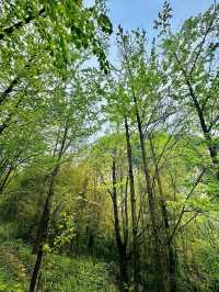 Peaceful Nature Break With Cool Vibes
