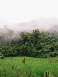 จุดชมวิว ผาแดง หนองเขียว แขวงหลวงพระบาง