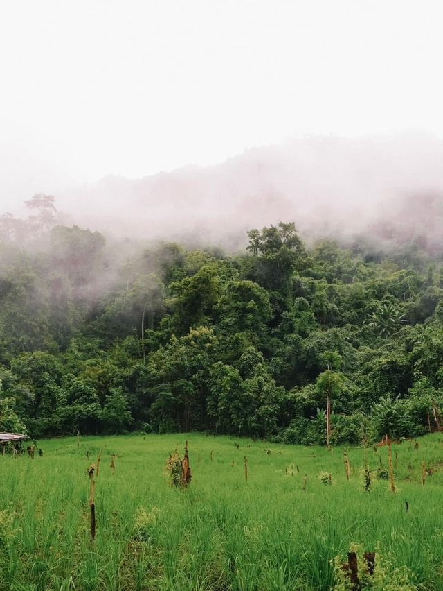 จุดชมวิว ผาแดง หนองเขียว แขวงหลวงพระบาง