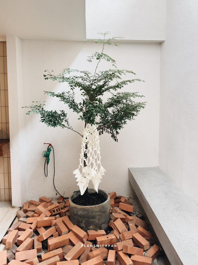 riion chiang mai cafe | stay | gallery . 🤍✨