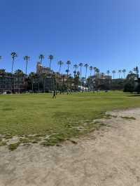 🐬 샌디에고 La Jolla Cove, 바다사자와 함께하는 해변!