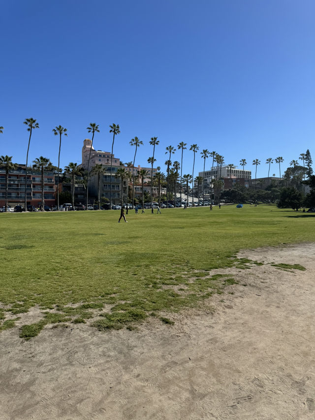 🐬 샌디에고 La Jolla Cove, 바다사자와 함께하는 해변!