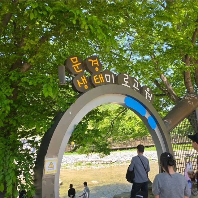 Mungyeong Saejae Provincial Park (Mungyeong)