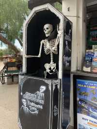 Spring strolls and market magic at San Diego 