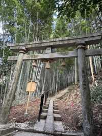 【熊本旅行】竹林に囲まれた知る人ぞ知るパワースポット神社⛩