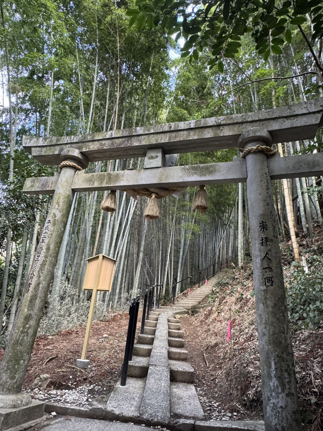【熊本旅行】竹林に囲まれた知る人ぞ知るパワースポット神社⛩