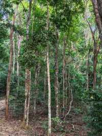 Evening Escape to Malau Hill: Jitra’s Hidden Sunset Spot