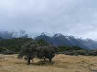 พาเดินเทรลที่ Mount Cook - เกาะใต้นิวซีแลนด์ 