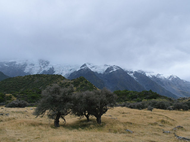 พาเดินเทรลที่ Mount Cook - เกาะใต้นิวซีแลนด์ 