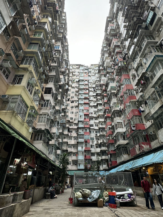 スマートシティ香港の魅力🇭🇰