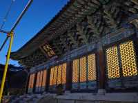 Cherry Blossom Templestay