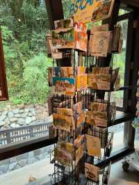 Hot Springs & Keepsakes: A Cozy Stop at Thermal Valley
