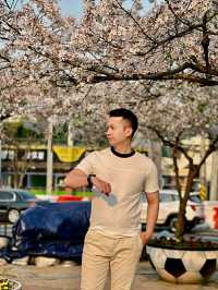 Gwangju: A Quiet Bloom in Korea’s Artistic SoulLocation: Gwangju, South Korea