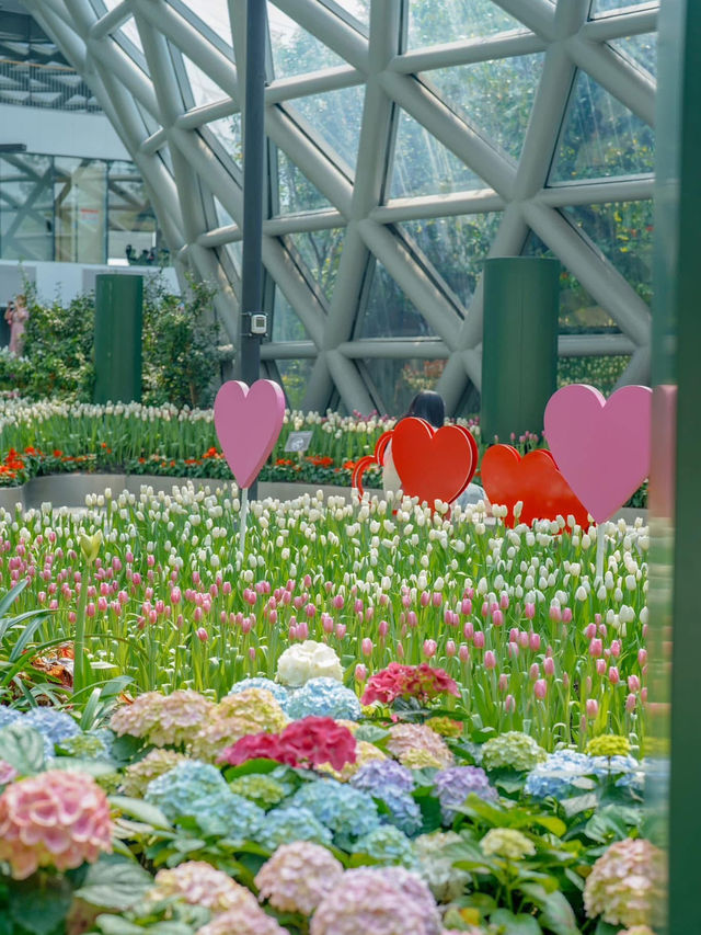 📍: Miracle of Natural🌷โครงการ PTT LN