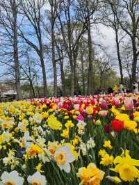 A Blooming Wonderland at Keukenhof Gardens 🌷