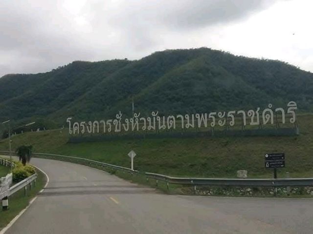 โครงการชั่งหัวมัน