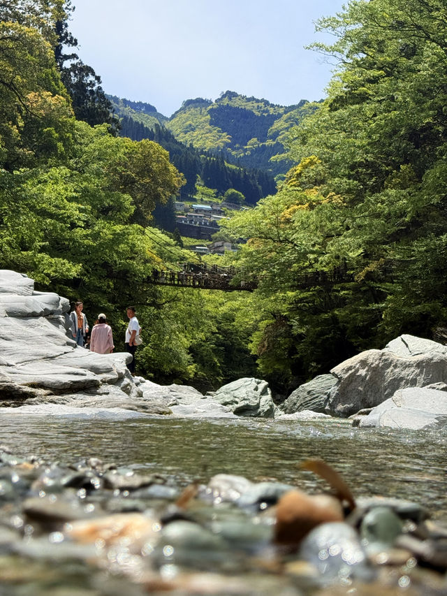 德島｜心跳加速產生戀愛錯覺的橋？ 日本三大奇橋祖谷藤蔓橋