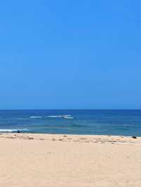 🇰🇷강릉 금진해변 서핑 명소 서프홀릭🌼🏄‍♀️🌊