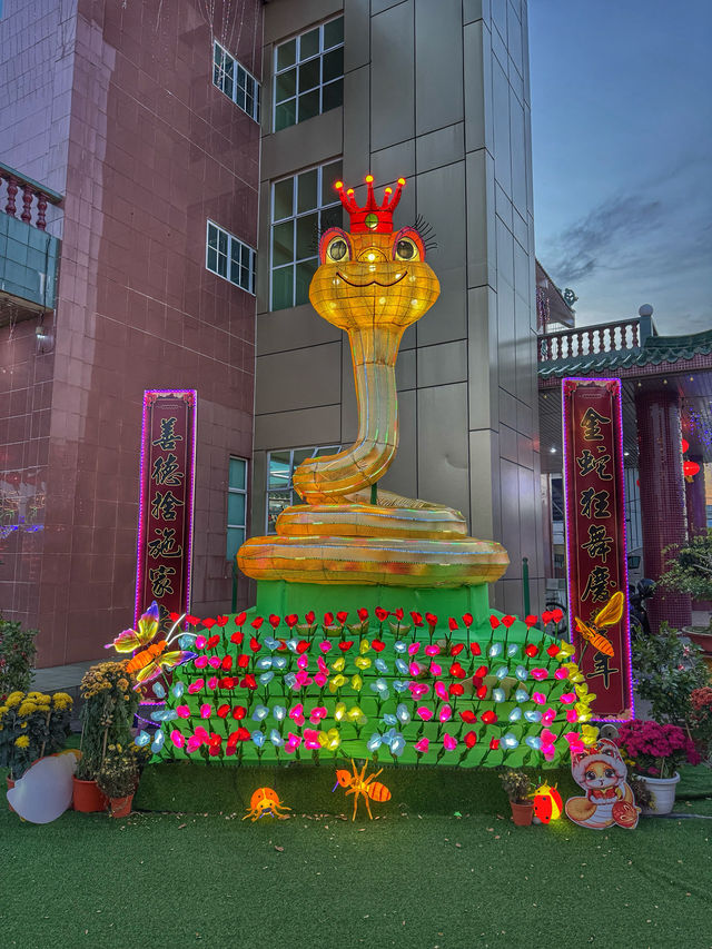 A Festival of Lights and Culture: Welcoming Spring at 德教会, Kluang