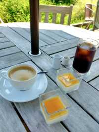 Early Summer Wandering in Kamakura – Flowers, Temples & Garden Lunches 