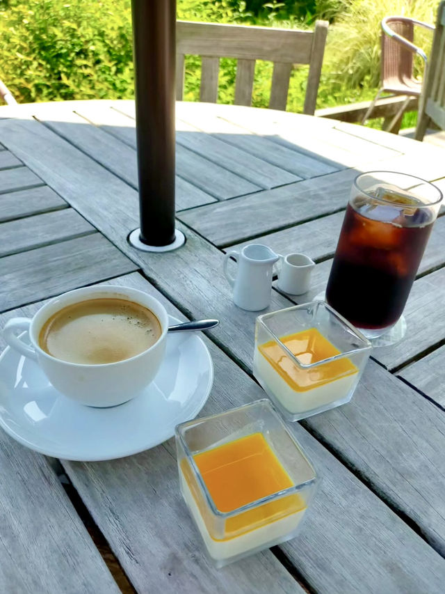Early Summer Wandering in Kamakura – Flowers, Temples & Garden Lunches 