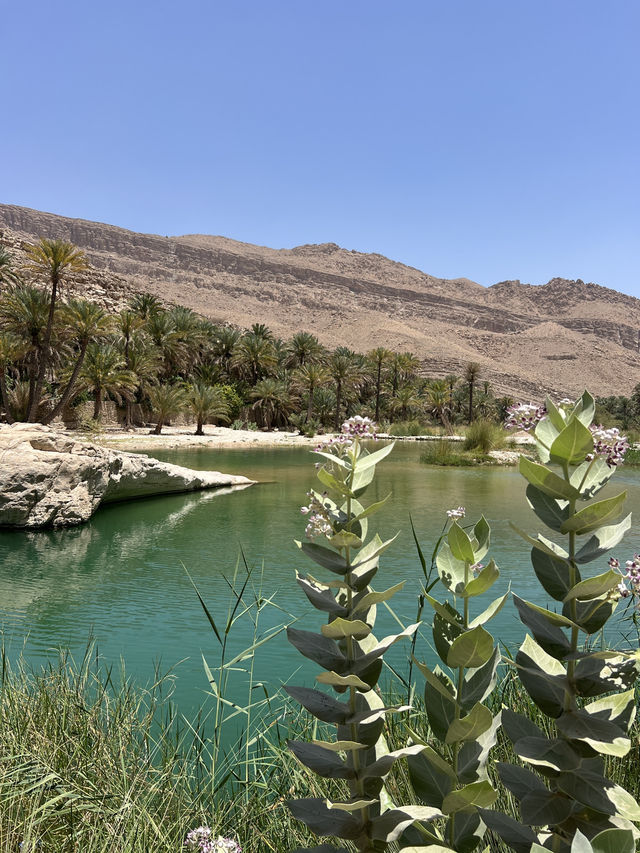 Oman trip