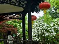 《揚州》中国庭園の美にふれて～个园～