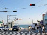 Busan's Sky-High Coastal Dream