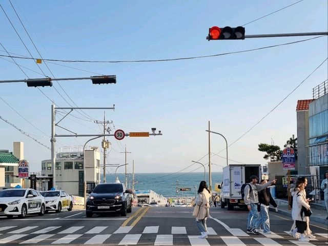 Busan's Sky-High Coastal Dream