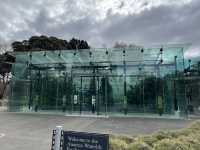 Beautiful Adelaide botanical garden