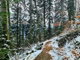 Cascada Urlătoarea