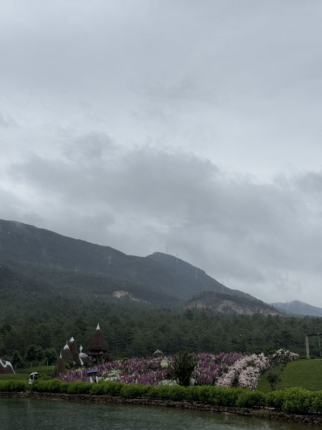 Raindrops & Blossoms: A Dreamy Stroll Through Tinghua Valley