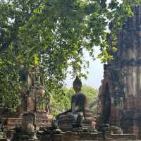 【アユタヤ🇹🇭】バンコクから90分！自然と歴史を感じる旅🌳