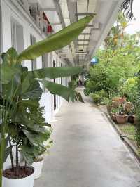 Walkable Foodie Haven: Cafe Hopping in Tiong Bahru