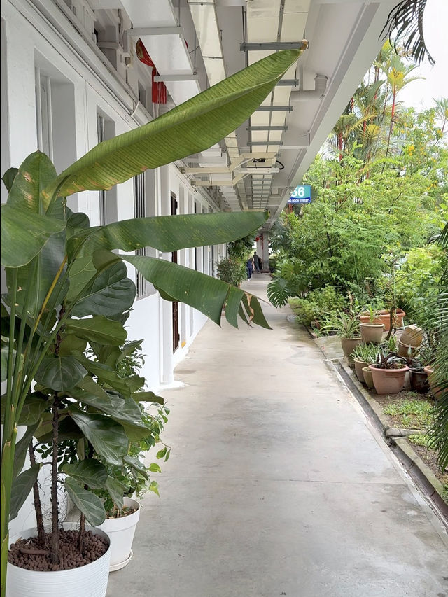Walkable Foodie Haven: Cafe Hopping in Tiong Bahru
